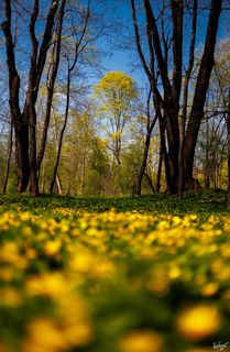 Фото серии #29941453
