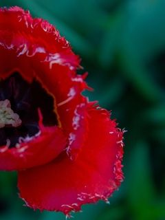 Series photo #29947005