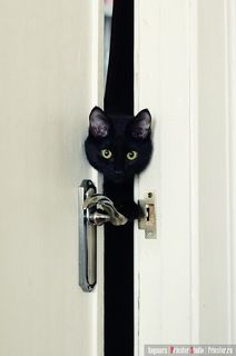 кошка научилась открывать двери