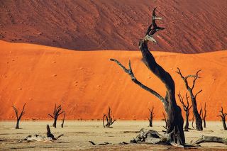 Двухцветная дюна.
 
Песчаные дюны - одна из основных достопримечательностей Соссусвей (Намибия) - примерно 90% из них состоят из кварцевого песка.
 
 
Некоторые песчинки покрыты оксидом железа, который придает им характерный красный цвет. В некоторых частях Соссусвлей встречаются двухцветные красно-желтые дюны.