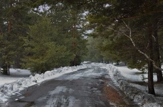 Дороги первые стали освобождаться от льда и снега.