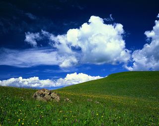 №2. Один из бесчисленных холмов урочища Табан-Карагай (Казахстан).