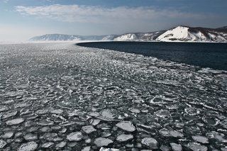 Байкальский медузарий