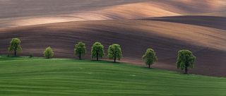 South Moravia (Czech Republic)
The photographs were of 9 vertical images