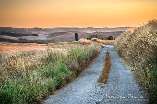 in Val d\'Orcia