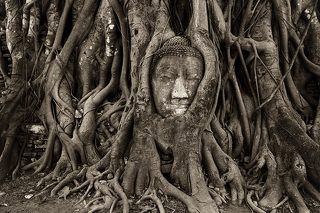 Таиланд, Аюттайя. Голова Будды в корнях дерева