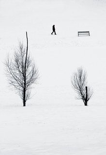 Series photo #433600