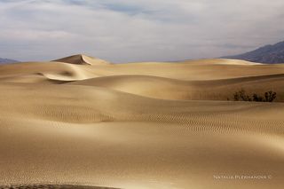 Mesquite Flat Sand Dunes, Death Valley, California, USA