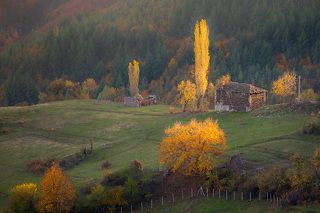 Rhodope Mountain, Bulgaria