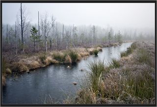 03 Иней и лёд