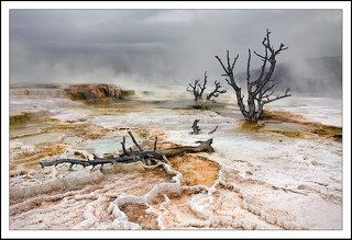 Mammoth Hot Springs поразил нас своей необычностью, и невероятным везением на солнечный свет))) Приехав туда первый раз в начале девятого, мы грустно побродили среди серых террас и минеральных образований…. Пока пили кофе, на ближайшей заправке, выглянуло солнце и залило всю долину мягким светом. Все сразу заиграло и заискрилось, а мы получили настоящий шок от увиденного !