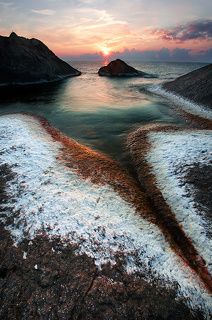 Snow seaweeds - Rezovo,Bulgaria