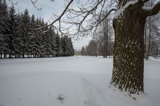 Екатерининский Парк