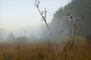 Dreamcatcher / Ловец снов