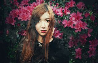 Shanshan