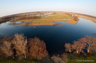 Заливные луга Оки. Рязанская область, охранная зона Окского биосферного заповедника.