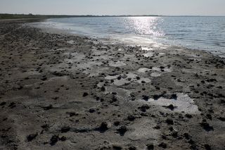 01 На Сасык-Сиваш - самое большое в Крыму соленое озеро я попал практически случайно. Сюрпризы начались почти сразу: вот так выглядит берег озера…
