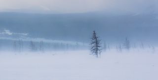 Ветерок...

Приполярный Урал