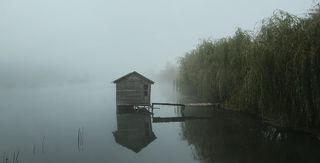 Series photo #810958