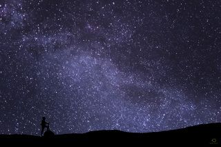 Journey to the Stars