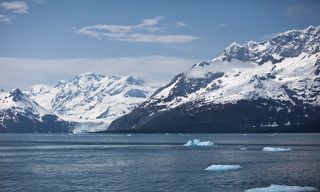 2. Всего на Аляске около 100 000 ледников, но только 616 из них имеют названия. Лед покрывает около 5 процентов территории штата. Толщина некоторых из них достигает почти 1500 м.