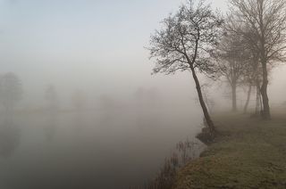 Туманное утро в Голландии