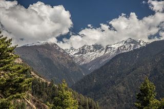 Для моего первого путешествия в горы я естественно выбрал Гималаи, горный район Непала - Лангтанг.