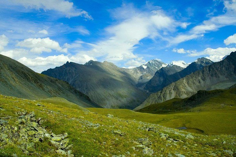 3 горных хребта. Алтайские горы Алжир. Алтайская Горная Страна. Горный хребет семь сестёр. Горы Алтай расположены в Северо-Западной части страны.