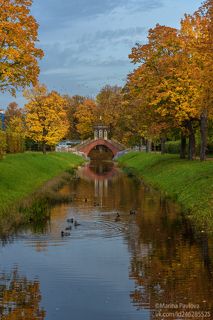 Золотая осень в Александровском парке