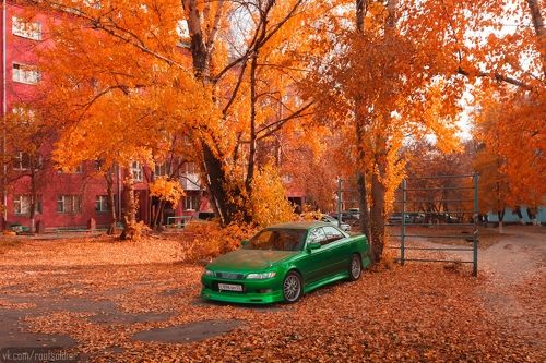 Осень в Омске