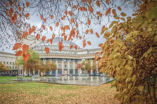 Новосибирская осень. Фотокарточки - ЯПлакалъ