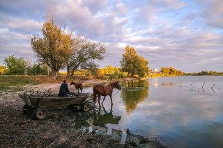 Я коней напою, я куплет допою...