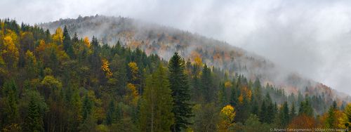 Fog over forests and hills in Carpathian Mountains in autumn, Ukraine