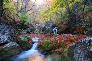 Осень  большом каньоне Крыма