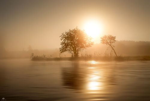 A lonely kayak trip shrouded in fog and bathed in golden glow