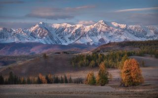 Курайское утро