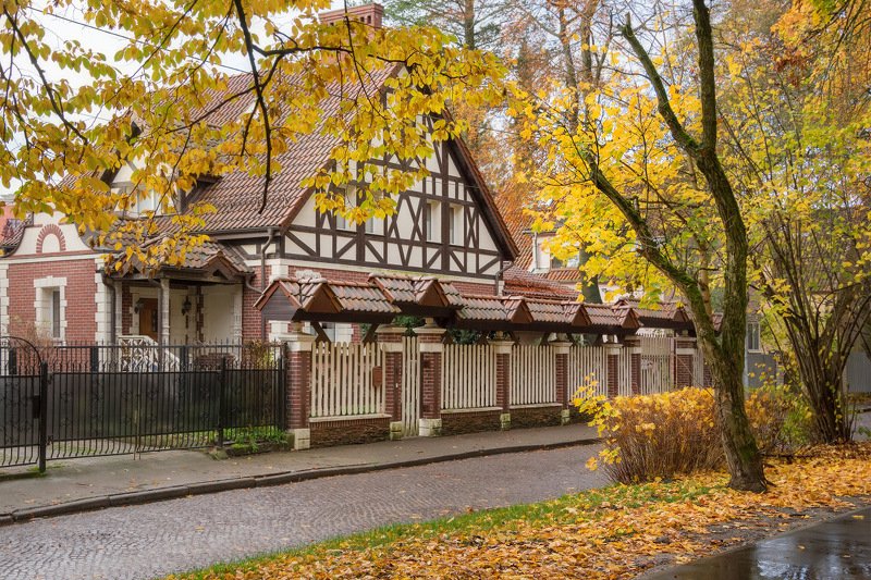 калининград, город, осень, архитектура Осень в городеphoto preview