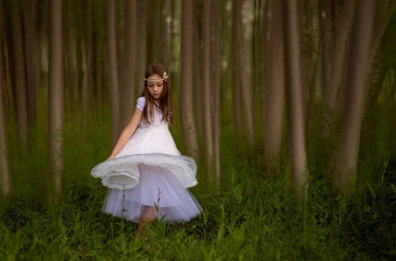 Forest fairyphoto preview