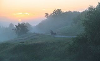 Растворилась тишина