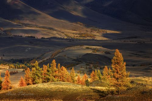 Осенняя Алтайская картинка