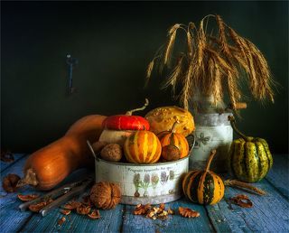 натюрморт с тыквами, орехами и колосками