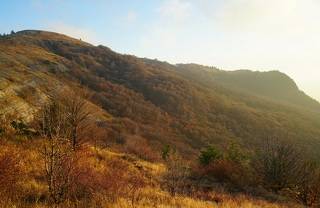 Sunny autumn evening