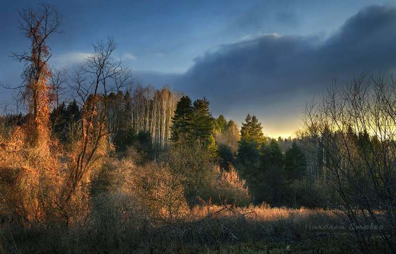 кавказ горы осень деревья закат Сказка уходящего дняphoto preview