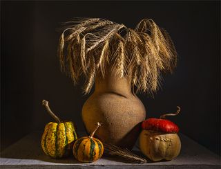 натюрморт с тыквами и колосками