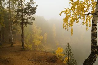 Утро