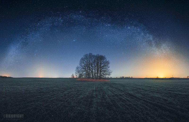 млечный путь, деревья, поле, ночь Под звездамиphoto preview