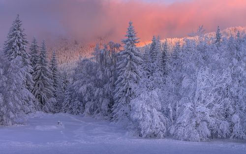 Winter, evening time