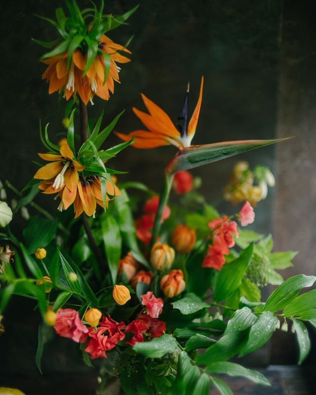 натюрморт, букет, цветы, оранжевый, красный photo preview