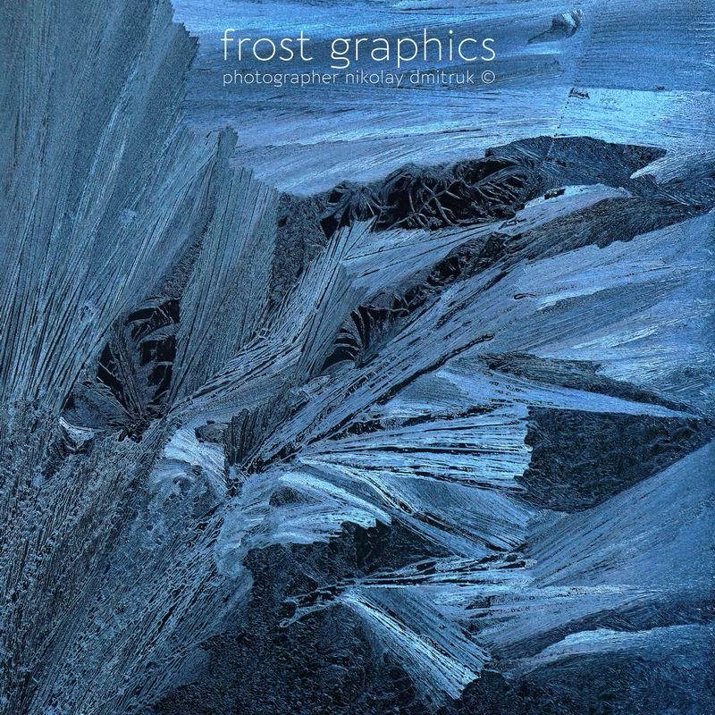 макро, зима, мороз, дмитрук, музыка Путь Герды. серия - ледяное сафариphoto preview