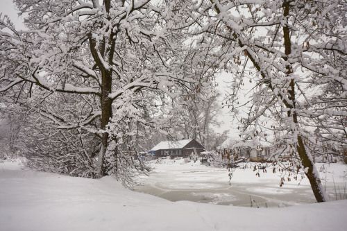 Зима на селе